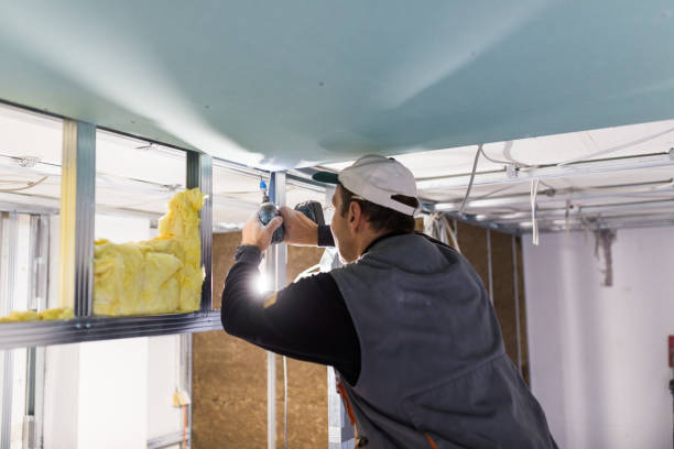 Best Geographic-Specific Insulation Services in Sterlington, LA