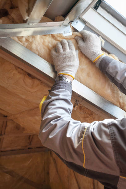 Trusted Sterlington, LA Insulation Contractor Experts