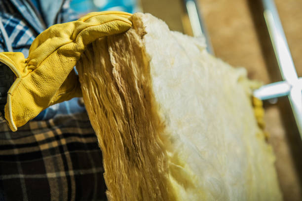 Best DIY Insulation Kits and Guidance in Sterlington, LA