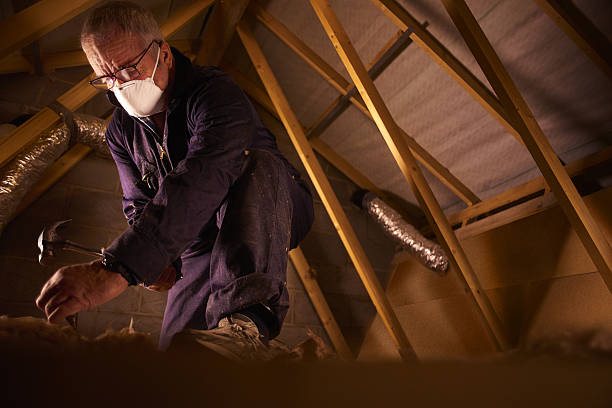 Trusted Sterlington, LA Insulation Contractor Experts