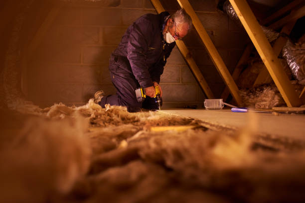 Best Fiberglass Insulation in Sterlington, LA